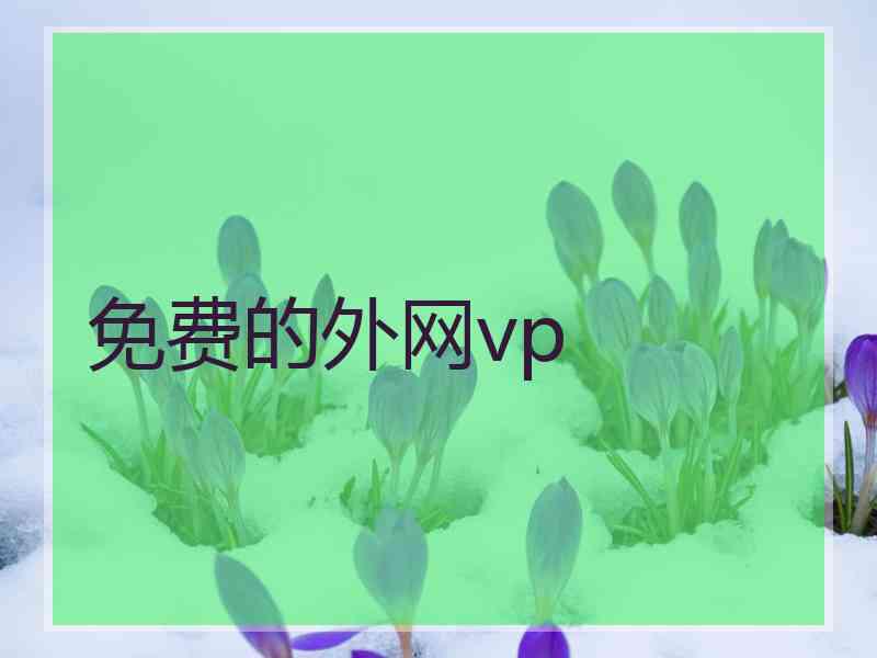 免费的外网vp