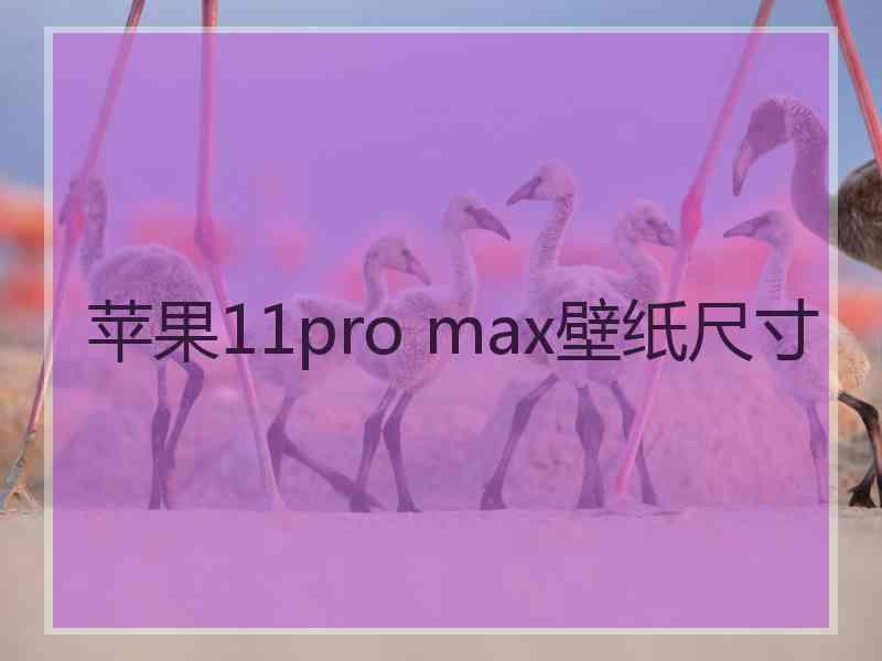 苹果11pro max壁纸尺寸