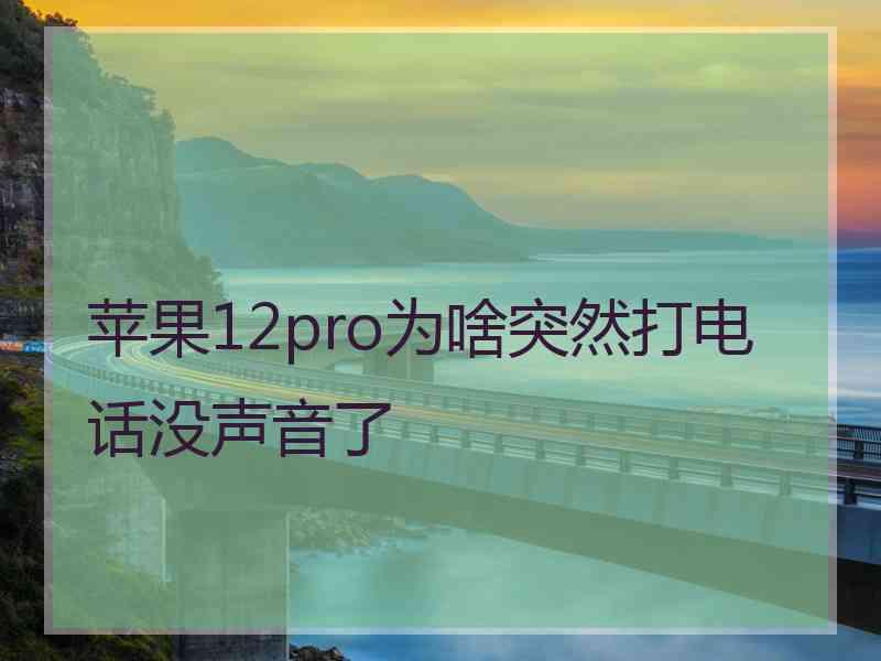 苹果12pro为啥突然打电话没声音了