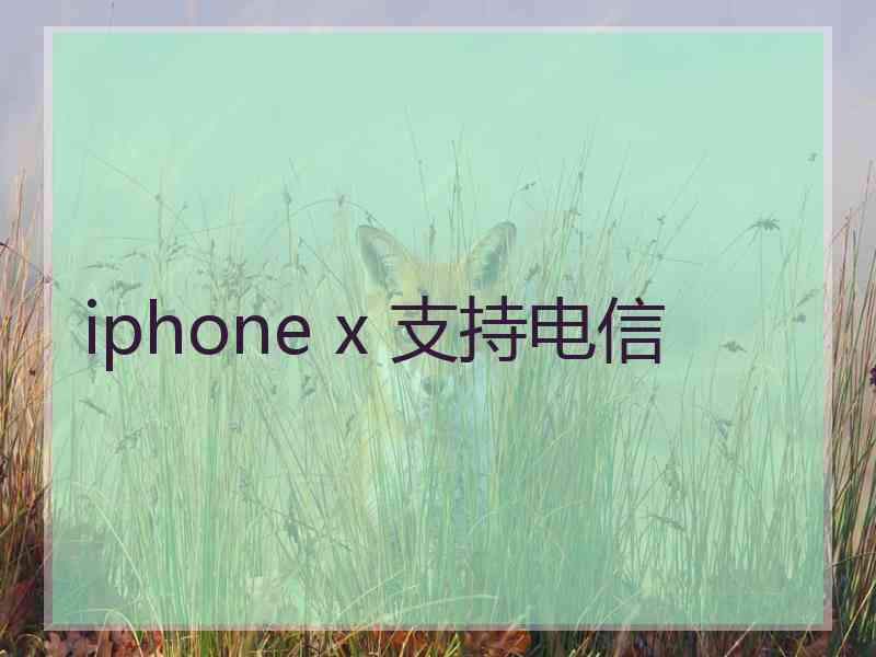 iphone x 支持电信