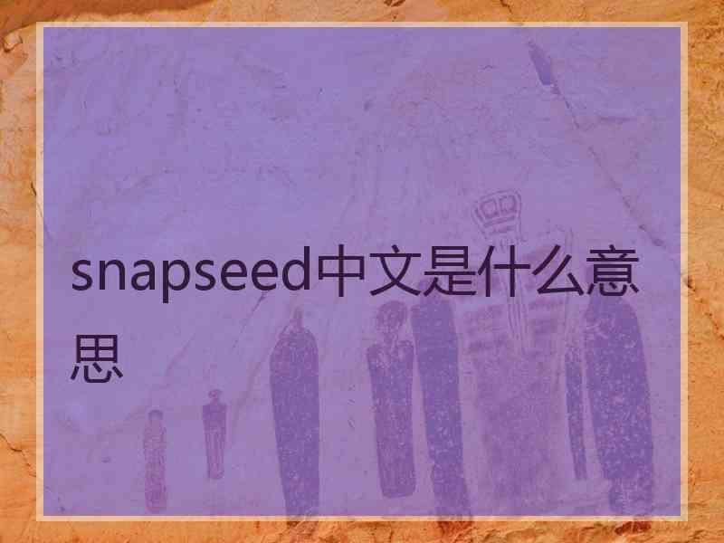 snapseed中文是什么意思