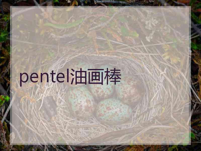 pentel油画棒