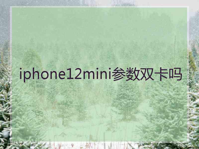 iphone12mini参数双卡吗