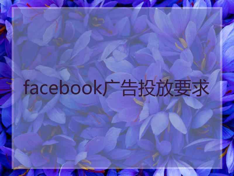 facebook广告投放要求