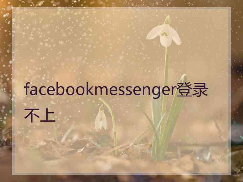 facebookmessenger登录不上