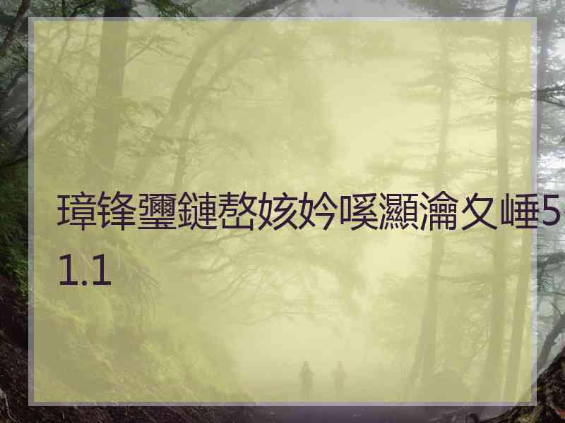 璋锋瓕鏈嶅姟妗嗘灦瀹夊崜5.1.1