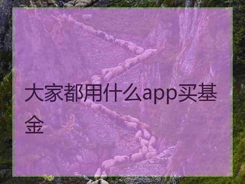 大家都用什么app买基金