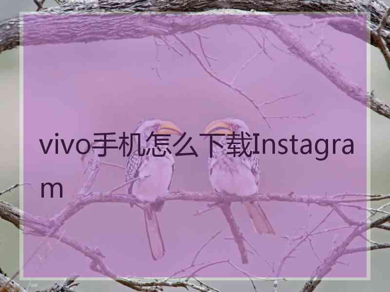 vivo手机怎么下载Instagram