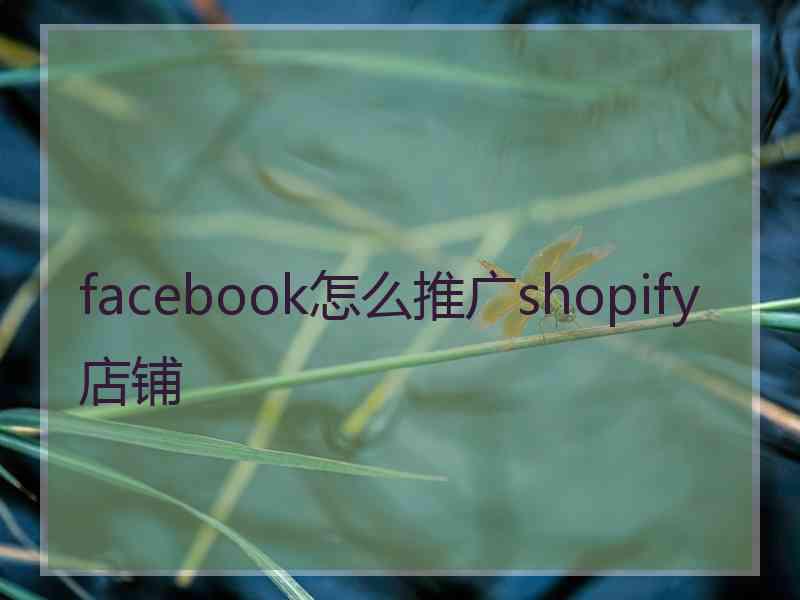 facebook怎么推广shopify店铺