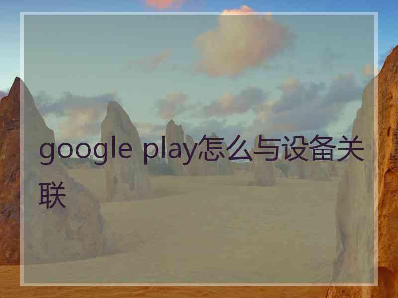 google play怎么与设备关联