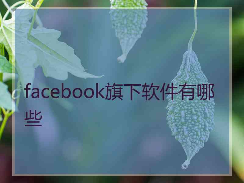 facebook旗下软件有哪些