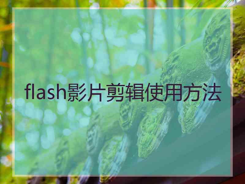 flash影片剪辑使用方法