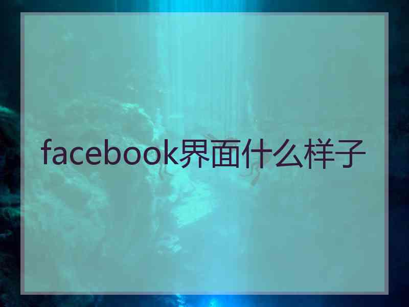 facebook界面什么样子