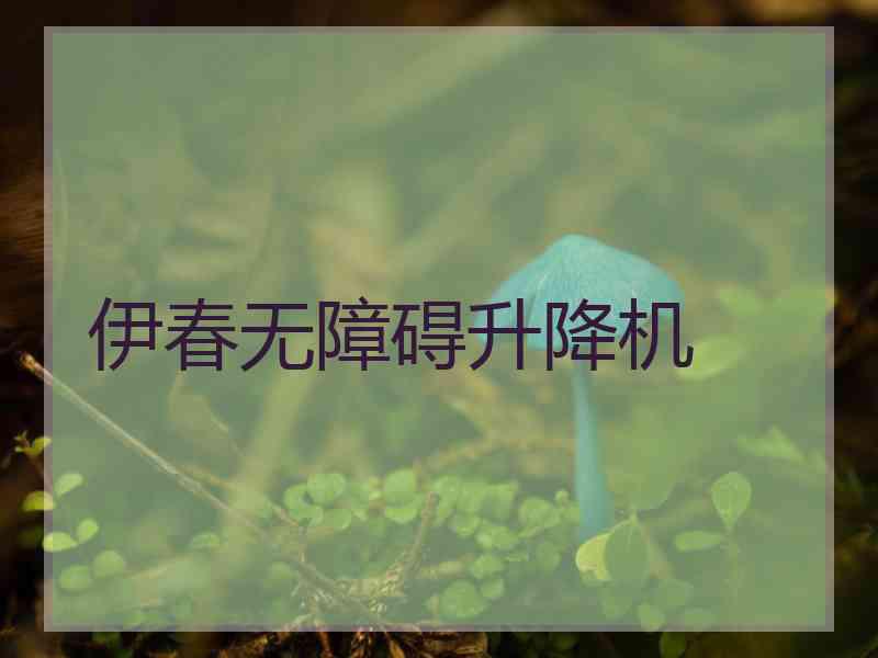 伊春无障碍升降机