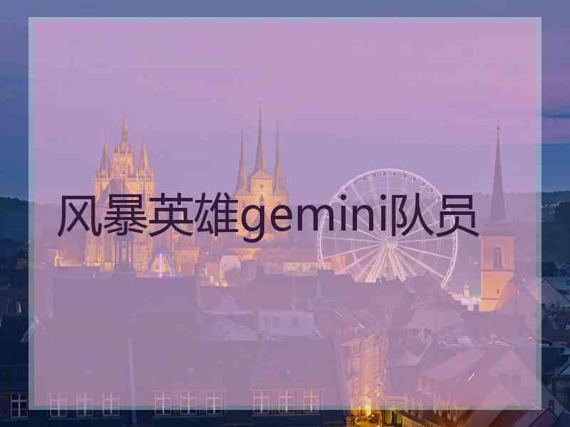 风暴英雄gemini队员