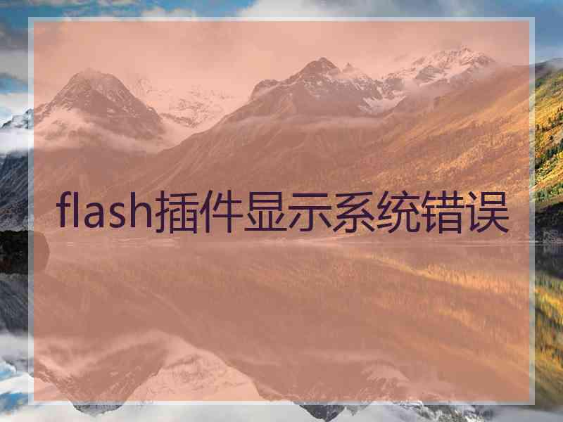 flash插件显示系统错误