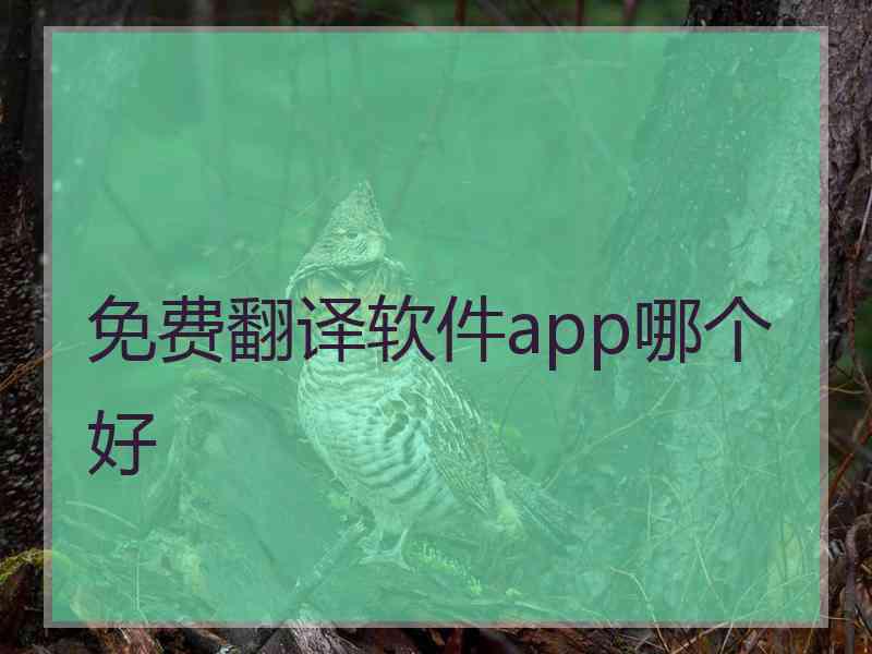 免费翻译软件app哪个好