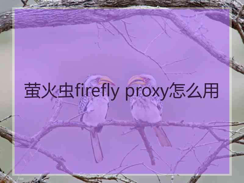 萤火虫firefly proxy怎么用