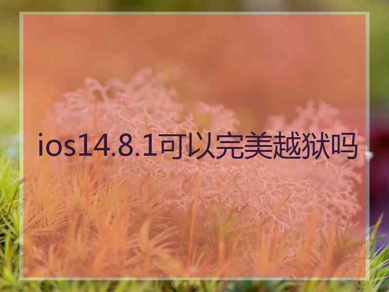 ios14.8.1可以完美越狱吗