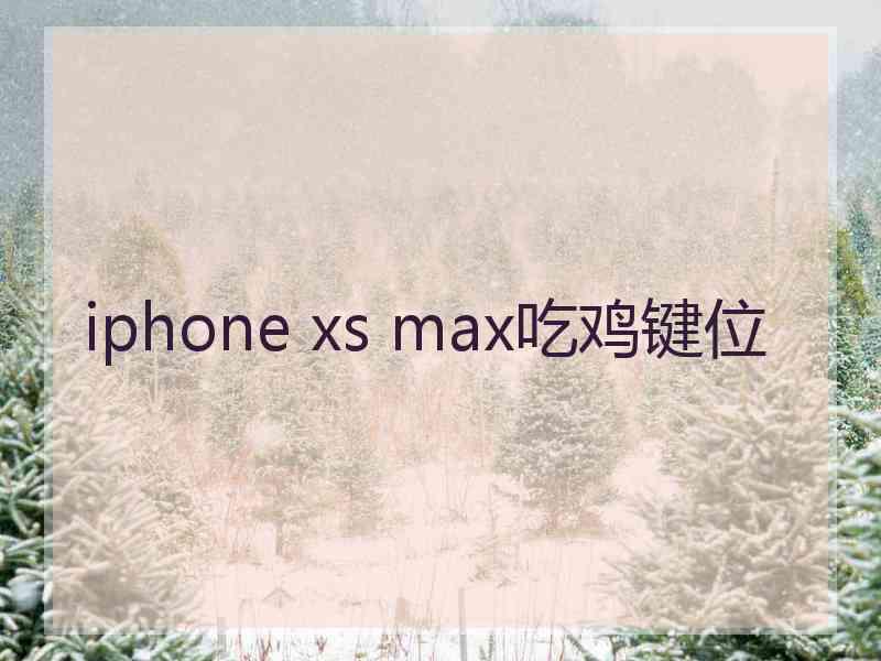 iphone xs max吃鸡键位