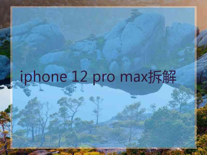 iphone 12 pro max拆解