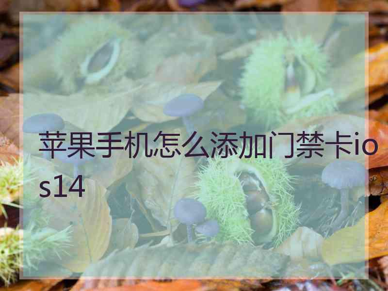 苹果手机怎么添加门禁卡ios14