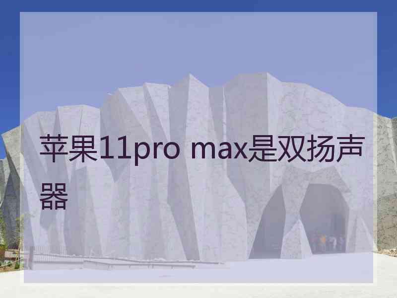 苹果11pro max是双扬声器