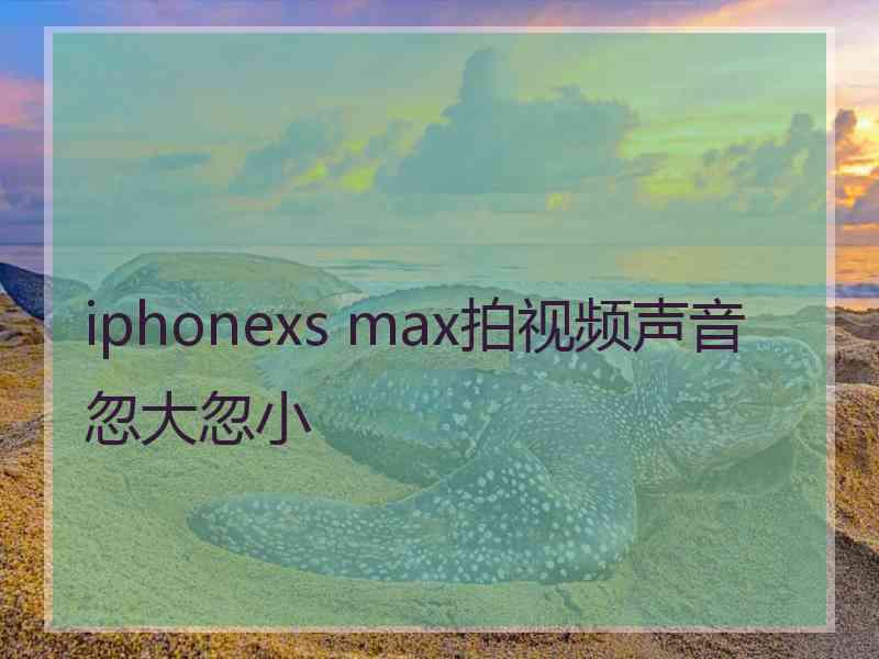 iphonexs max拍视频声音忽大忽小