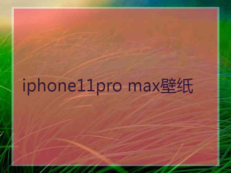 iphone11pro max壁纸