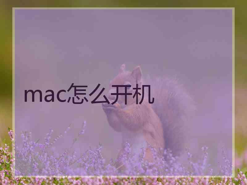 mac怎么开机