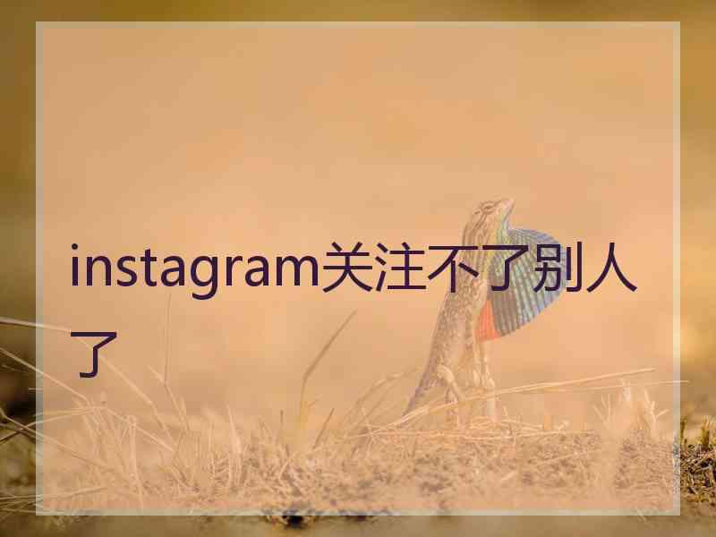 instagram关注不了别人了