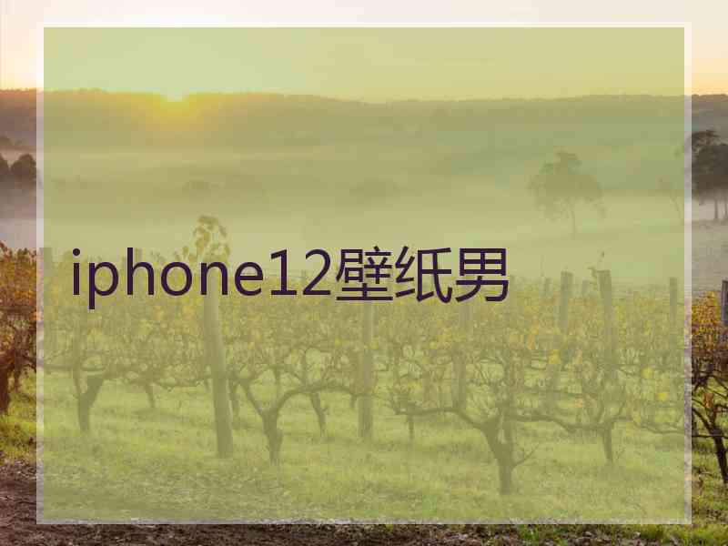 iphone12壁纸男