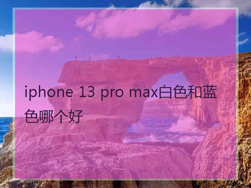 iphone 13 pro max白色和蓝色哪个好