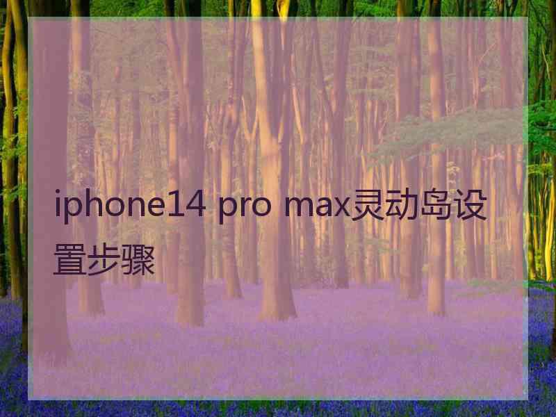 iphone14 pro max灵动岛设置步骤