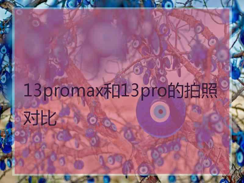 13promax和13pro的拍照对比