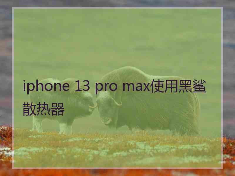 iphone 13 pro max使用黑鲨散热器