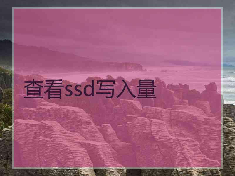 查看ssd写入量