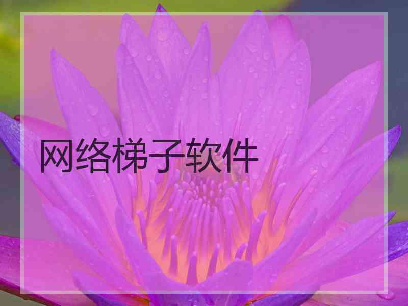 网络梯子软件