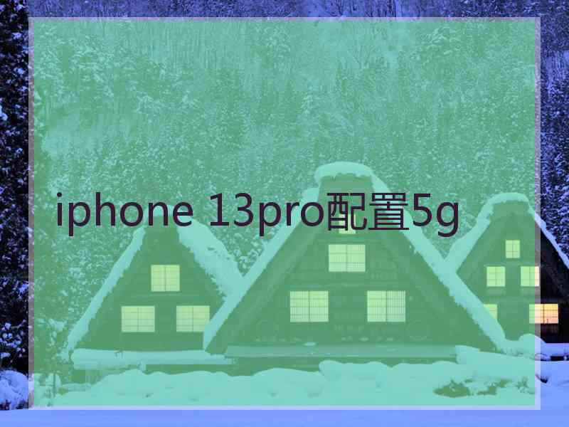 iphone 13pro配置5g