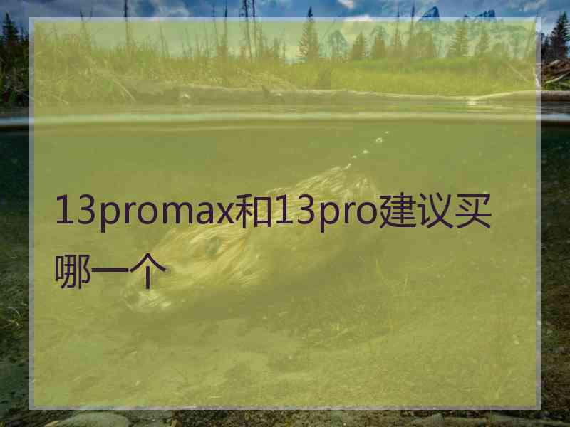 13promax和13pro建议买哪一个