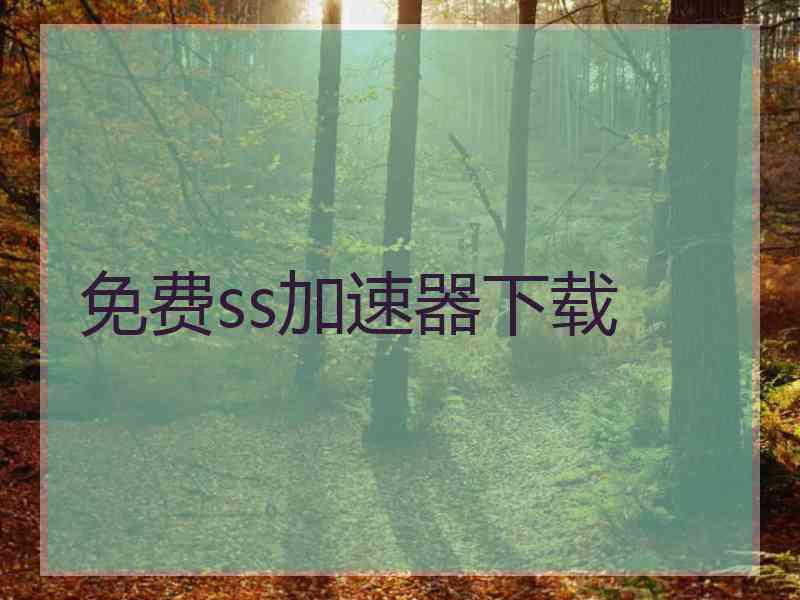 免费ss加速器下载