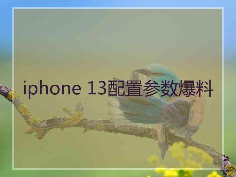 iphone 13配置参数爆料