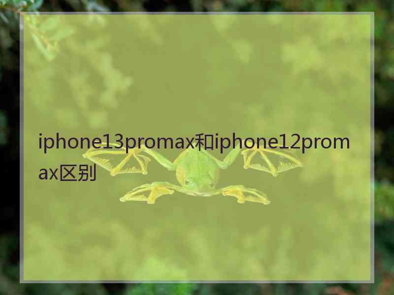 iphone13promax和iphone12promax区别