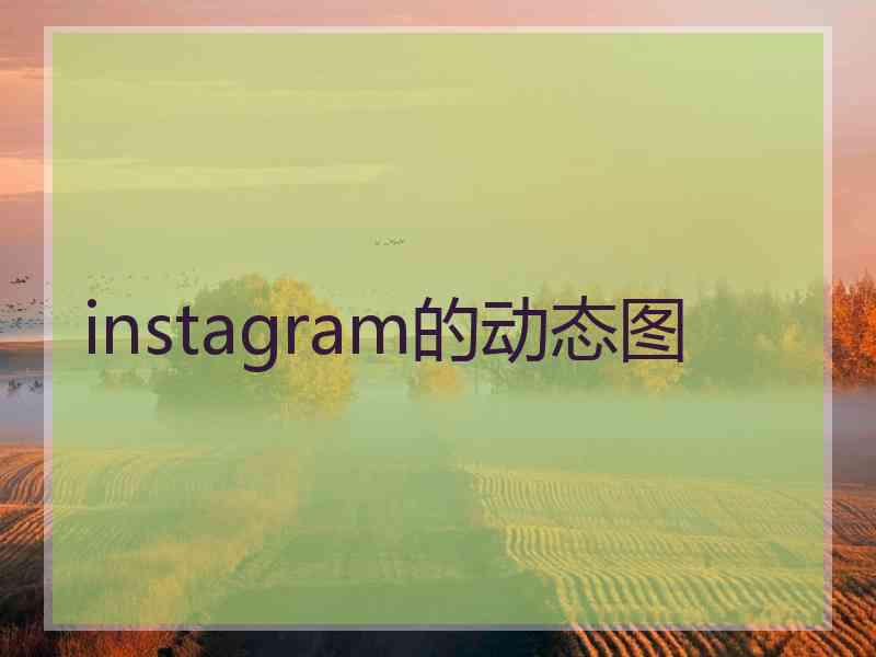 instagram的动态图