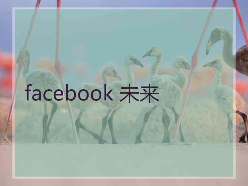 facebook 未来