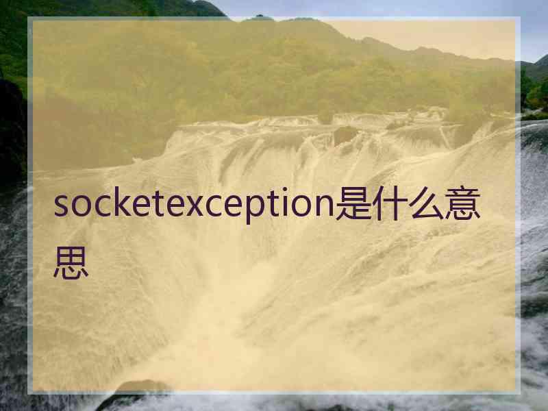 socketexception是什么意思