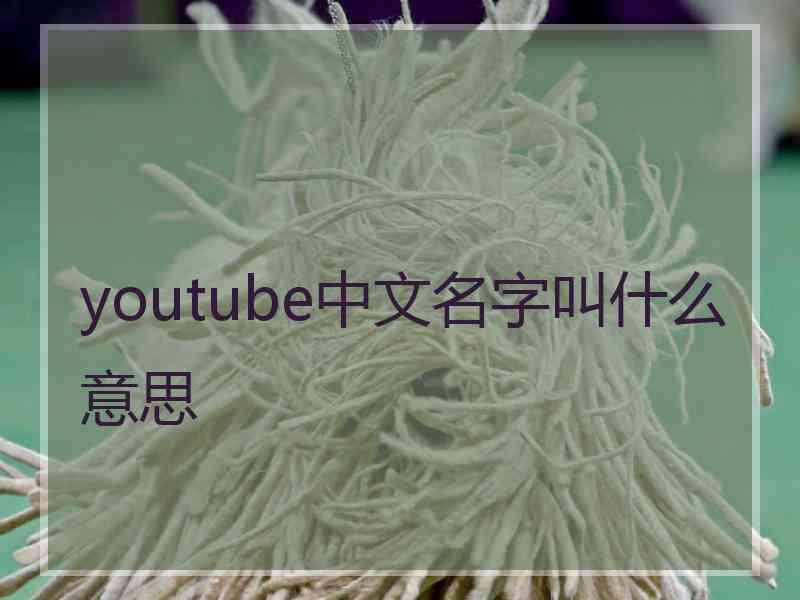 youtube中文名字叫什么意思