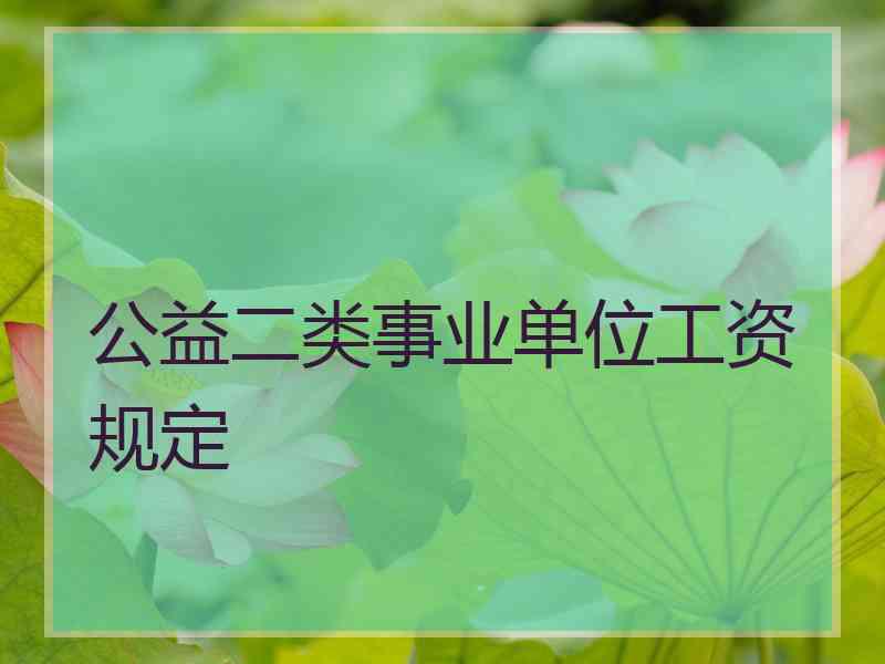 公益二类事业单位工资规定