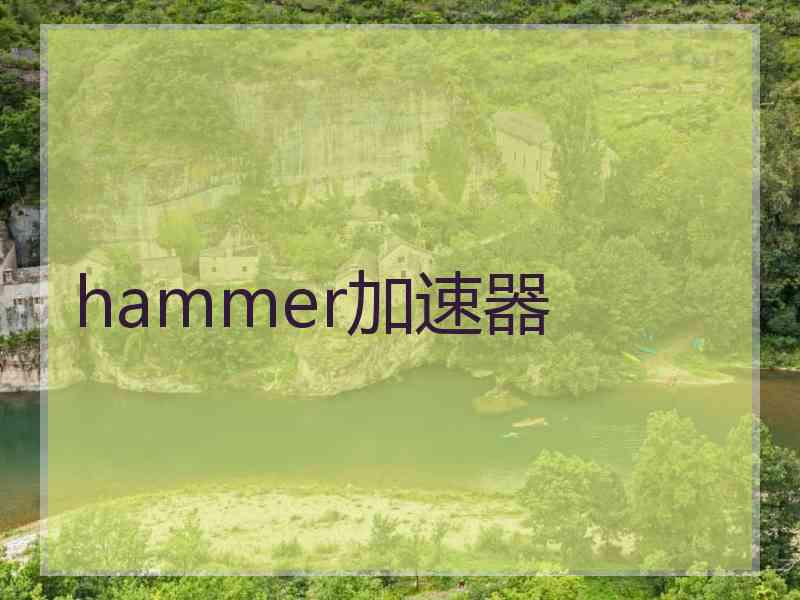 hammer加速器