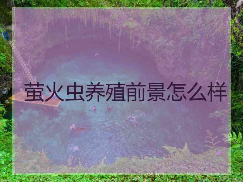 萤火虫养殖前景怎么样